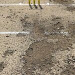 Worst Pitch in Test Cricket History