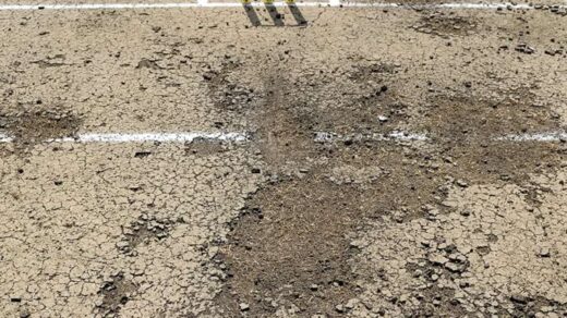 Worst Pitch in Test Cricket History