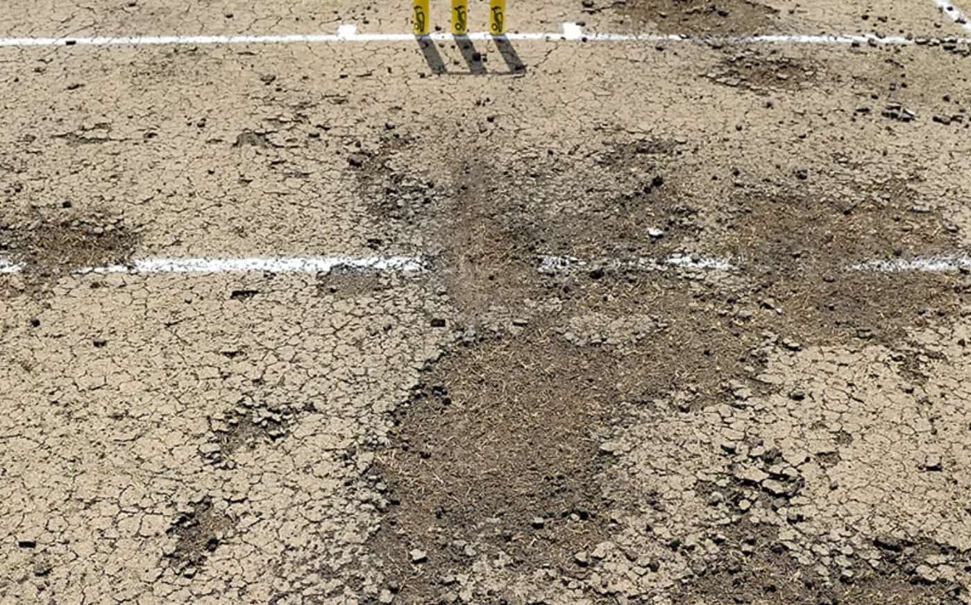 Worst Pitch in Test Cricket History