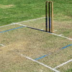 How Many Creases Are There in Cricket